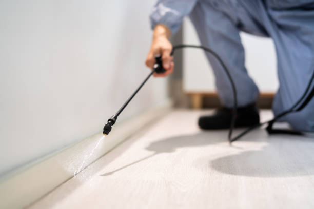 Licensed Pest Control service in Castle Rock, CO - Show Me Pest Control