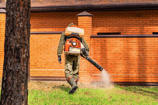Bed Bug Clearance Verification and Documentation in Castle Rock